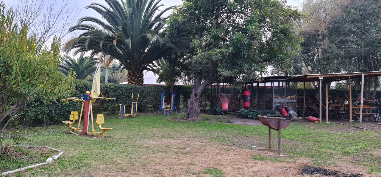 Centro Olea