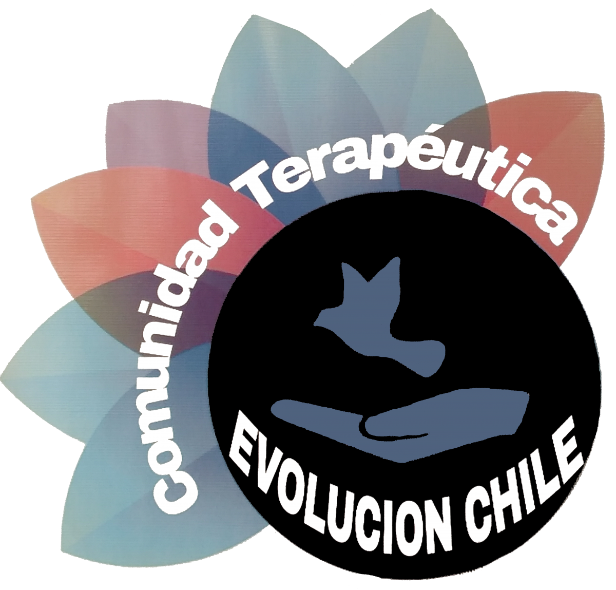 Evolución Chile